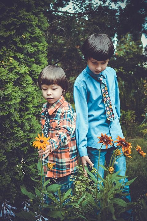 孩子们 花朵 花卉 婴儿 丰富多彩的 自然 可爱 播放