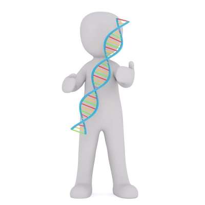 Dna 白人男性 3D 模型 孤立 3D 模型 全身 白色的