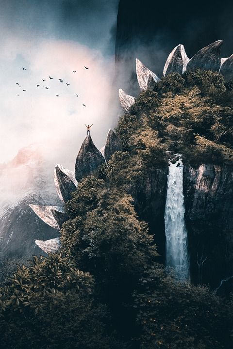 山 鸟类 群 恐龙 森林 瀑布 多雾路段 人类 度假 旅行