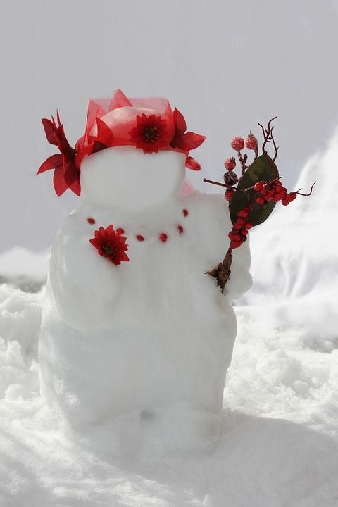 雪人 冬天 雪 冬季装饰 冬天快乐 寒冷的 季节