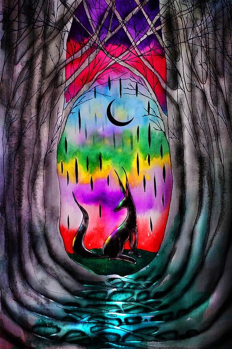 森林 一只狐狸 天空 夜晚 幻想 动物 捕食者 自然 狐狸 路
