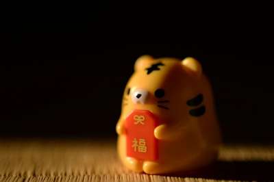 财富 老虎 新的一年 生肖 阳光 黄 可爱的 动物 信仰 日本