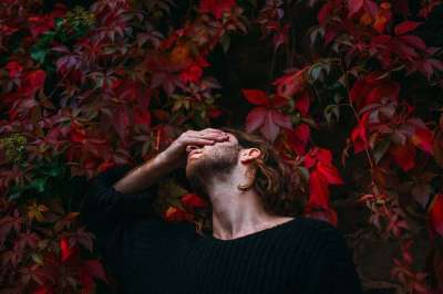人们 男人 独自的 使困惑 思维 树叶 植物 自然 使困惑