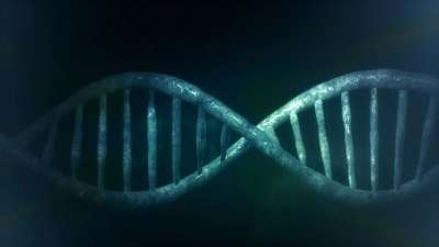 微生物学 脱氧核糖核酸 人们 结构体 细胞 背景 分析 研究