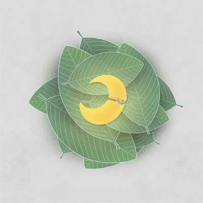 树叶 月亮 破碎的 新月 月光 光 温暖 创造力 想象力 幻想