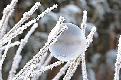 冬天 霜 冻结 肥皂泡 雪 寒冷的