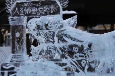 冰节 老虎 美丽的 冰 冰雕 冬天 雪 札幌 北海道 日本