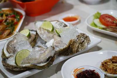 牡蛎 海鲜 泰国美食 牡蛎 牡蛎 牡蛎 牡蛎 牡蛎