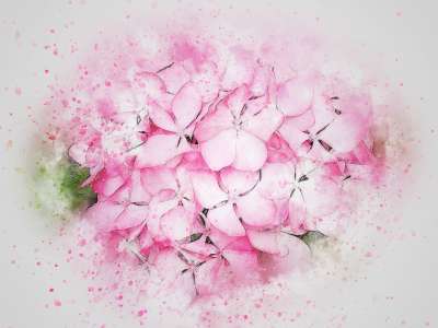花 粉色的 艺术 抽象 自然 婚礼 水彩 优质的 丰富多彩的