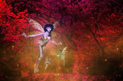 幻想 濒临死亡 梦 最后一条路 仙女 树木 童话 神秘 情绪