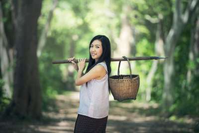 农村 篮子 亚洲 背景 美丽的 美丽 柬埔寨 文化 农民 女性