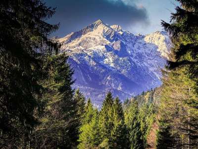 山 山峰 谷 森林 树梢 景观 阿尔卑斯山 远足 自由 首脑