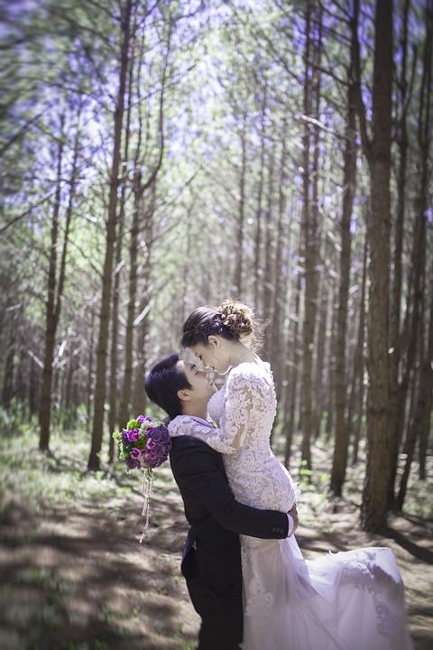 的婚礼 婚礼摄影 模型 美丽 自然 图像 越南 婚礼的照片