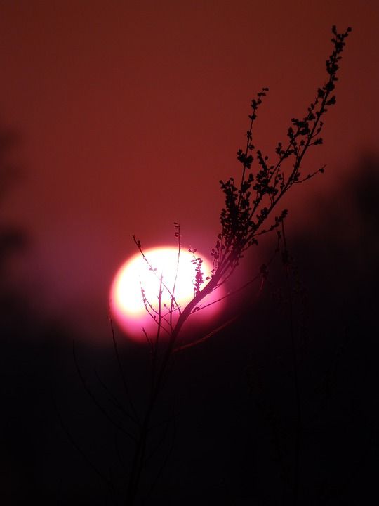 日落 血 夜 火焰 红色 秋天 刀刃 草 太阳 宏