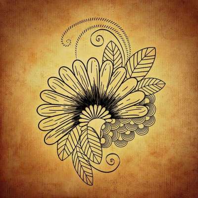 花 抽象的 树叶 装饰品