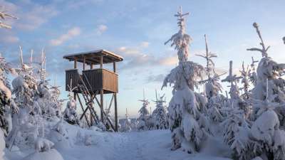 冬季 森林 山 景观 雪 情绪 白色的 弗罗斯特 似雪 冬天
