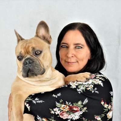 法国斗牛犬 女士 狗 在手臂上 脸 肖像 人的 女性 动物