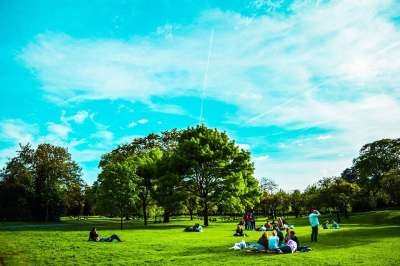 英国 伦敦 公园 圣詹姆斯公园 天空 树 春天 活泼 欧洲