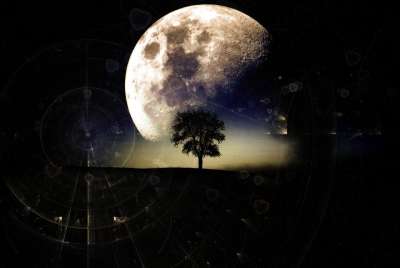 月亮 景观 超现实的 超现实主义 超级月亮 神秘 树 幻想 黑暗