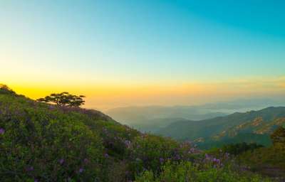 大自然 山 风光 天堂 全景图 旅行 树 爬坡道 黎明 时间