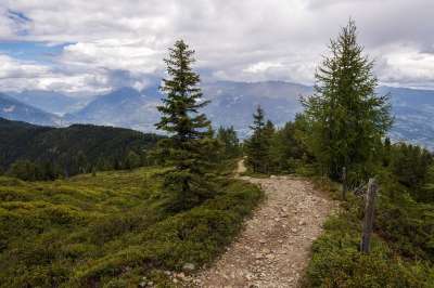 小路 目标 路 旅行 远足 森林 山 景观 自然 天堂 树木