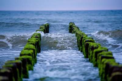 日落 整体的一部分水域 海 海滩 黎明家庭 景观 海洋 水平