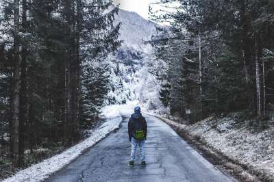 森林 山 植物 树木 松树 路 裂缝 损害 冰 冻结 雪