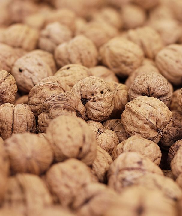 核桃 坚果 食物 圣诞节 好吃 健康 可口 来临 生物 营养