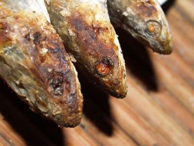 黑鱼 鱼 食物 盘子 泰国 一顿饭 烧烤 没有人 美味的
