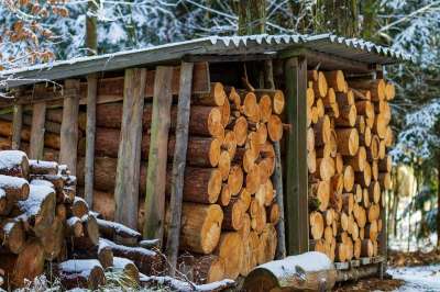 木头 一堆木头 树干 冬天 雪 白色的 自然 森林 柴 堆积
