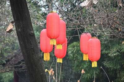 灯笼 节日 装饰 艺术 传统的