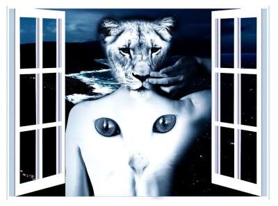 女士 身体 背部 猫 狮子 梦 催眠 梦想 窗户 打开 眼睛