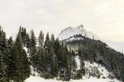 山 寒冷的 雪 冬天 雪覆盖 冰晶 冬季景观 白色的 冻结