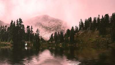 景观 自然 树 水 湖 反射 风景
