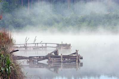 朦胧 多雾路段 湖 水 景观 森林 树木 行人天桥 桥