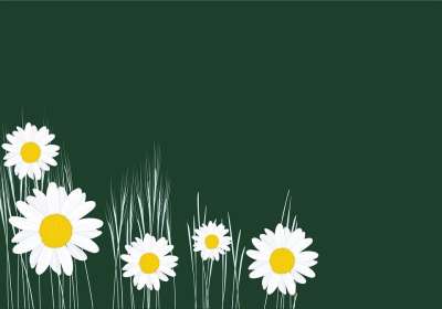 背景 花 优质的 花卉 蓝色的 手 夏季 自然 字母表 花园