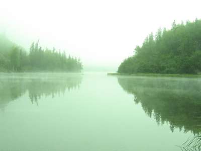 湖 绿色 景观 森林 阿拉斯加州 绿湖