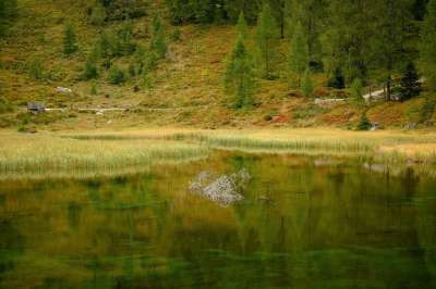 自然 湖 森林 景观 山下湖 落下 秋季景观 秋天的颜色