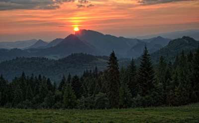 视图 景观 暮光之城 日落 山 山链 地平线 山脉 森林 晚上