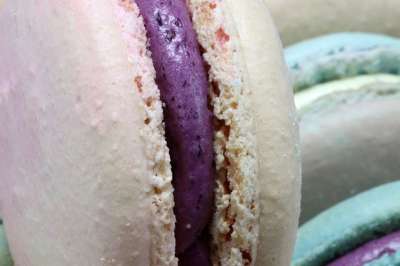 马卡龙 小吃 甜点 食品 丰富多彩的 曲奇饼 甜的 甜头 宏