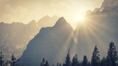阿尔卑斯山 山 阳光 全景 轮廓 自由 枞树 景观 自然 森林