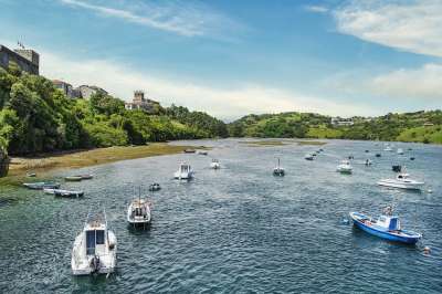 海 帆船 航行 岛 景观 船 海洋
