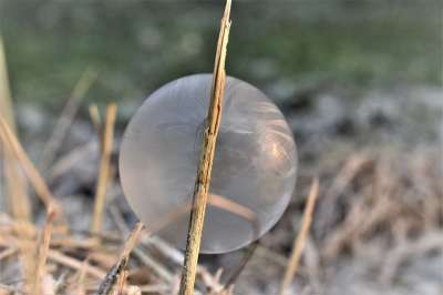 肥皂泡 冻结 冰晶 冬天 泡沫 霜 子弹 冰淇淋 冰花 球形