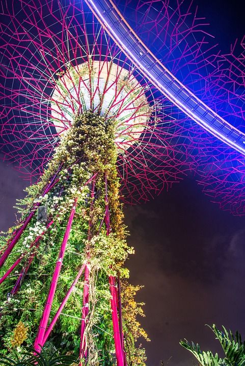 新加坡 旅游景点 旅游 旅行 亚洲 湾 城市 城市景观