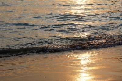 海滩 波浪 水 日落 海岸 海 夏天 海滩水 沙 金子