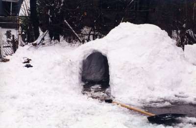 冰屋 雪 堡 冻结 冬天 季节 冰 寒冷的 爱斯基摩人 庇护所