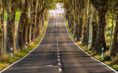 大街 乡村小路 景观 路 树木 自然 林荫大道 天篷 阴凉处