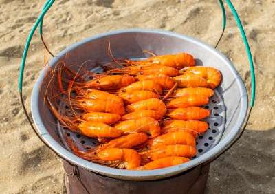 海 海鲜 壳 贝类 虾 小吃 蒸熟 美味的 泰国 老虎