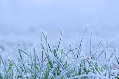 大自然壁纸 自然壁纸 高清壁纸 冬天 雪 季节 自然 特写 冻结