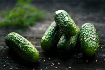 黄瓜 植物 绿色 食物 开胃菜